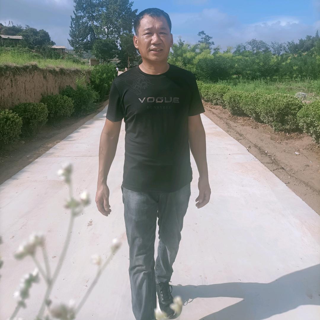 自由飞翔