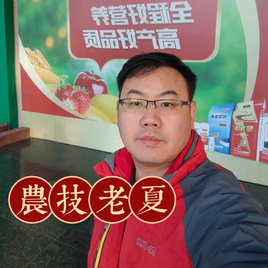 农业微夏（金正大）
