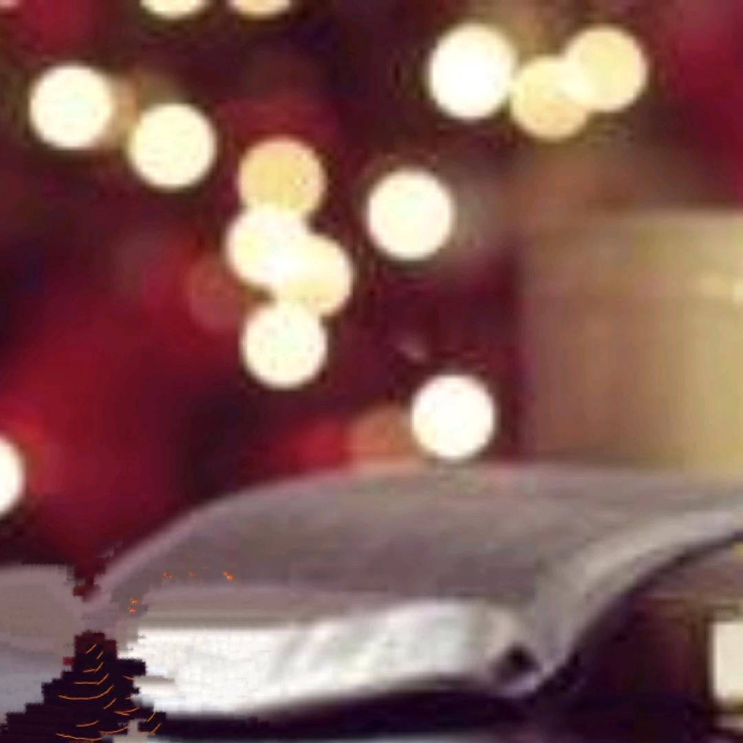 Newlife新生活杨小莉