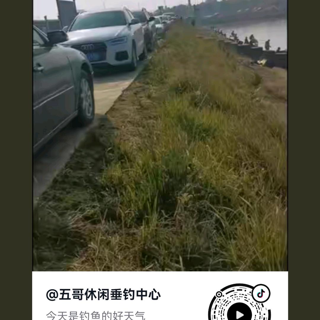 五哥休闲垂钓中心