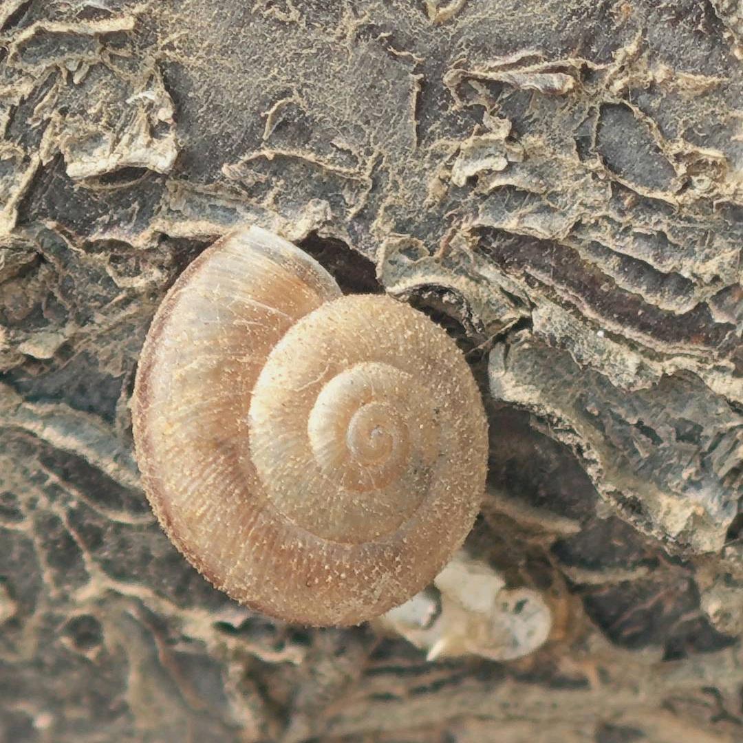 库存布料辅料服装尾货收购