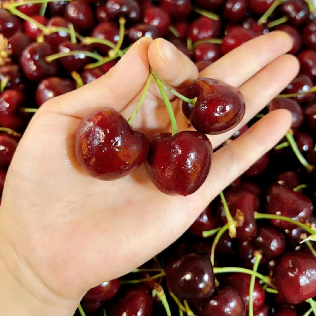 沙市区加一加水果零食荆州碧桂园店