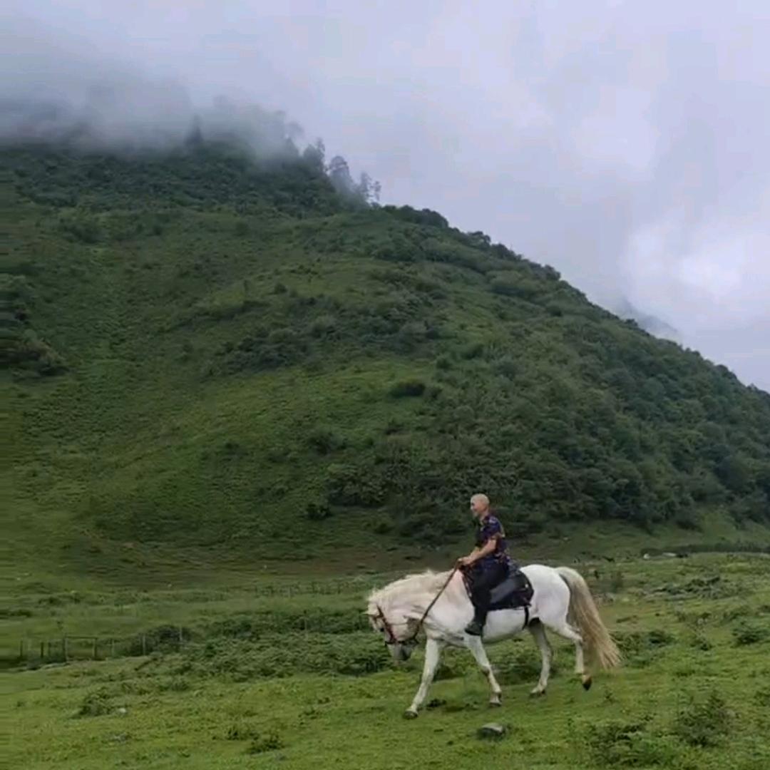 和气生财🌹（有缘就来喝两杯）🌹