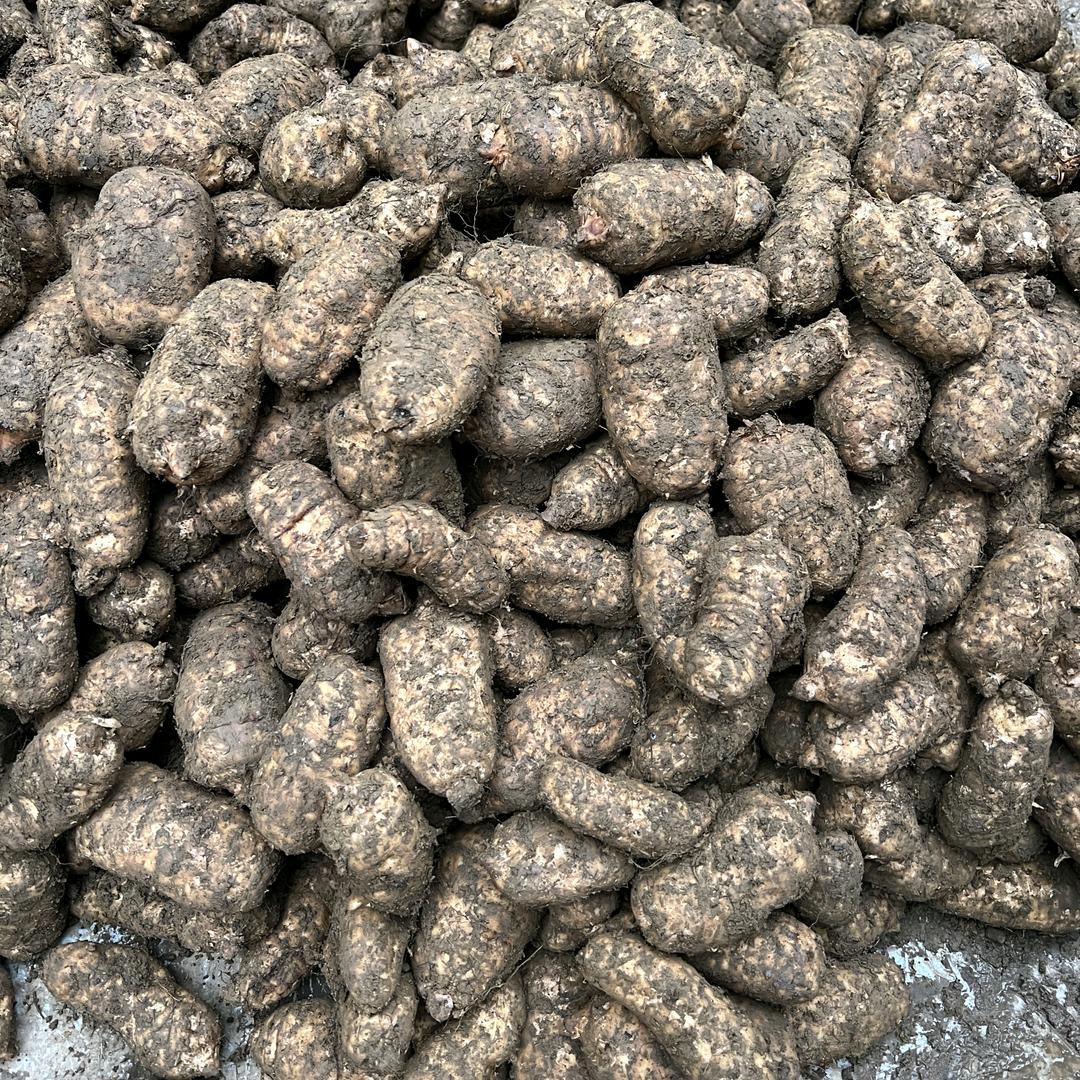 昭通俊言农特产品坊