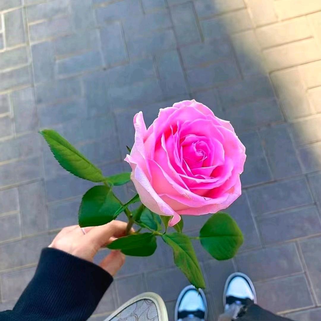 玲玲吖💍