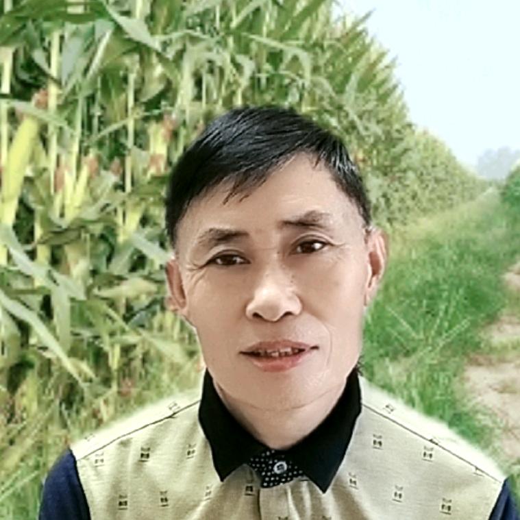 快乐哥