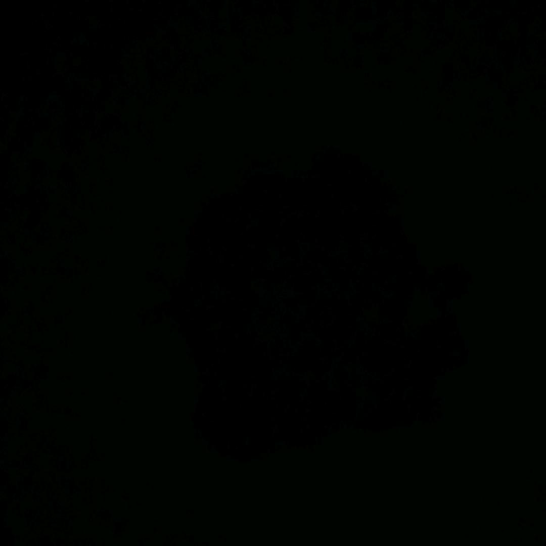 离谱