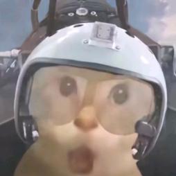 靠