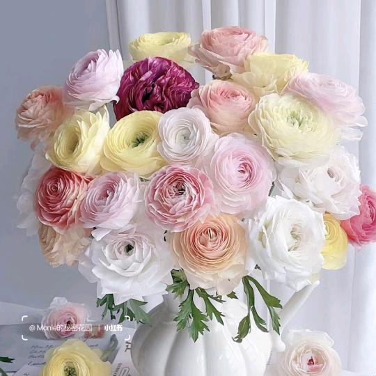 花拾光鲜花屋