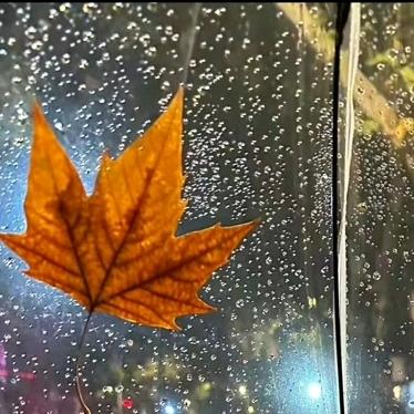 青山见水问自我