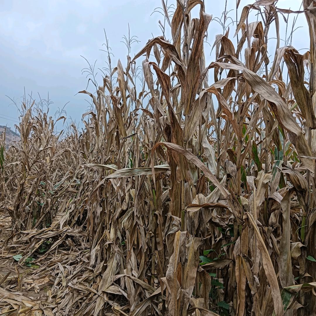 最好的时光在路上