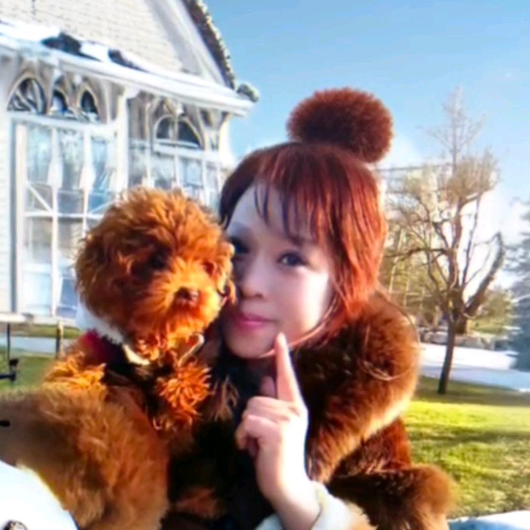 湛蓝的温柔……有赞必回赞不闲聊