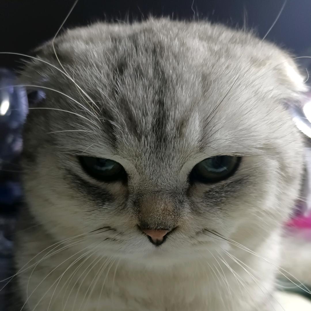 😍😍奋斗