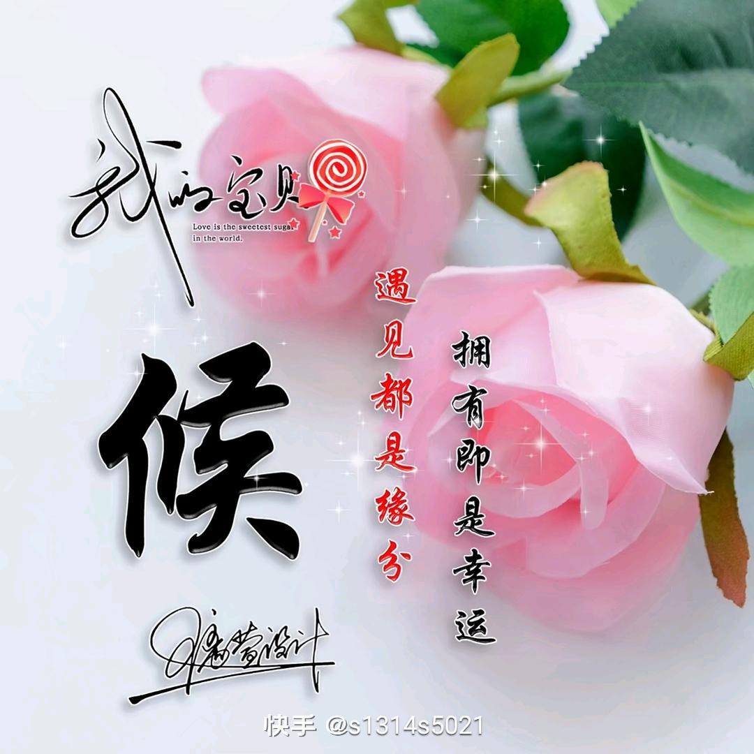 ꧁候꧁的单身谁来买单