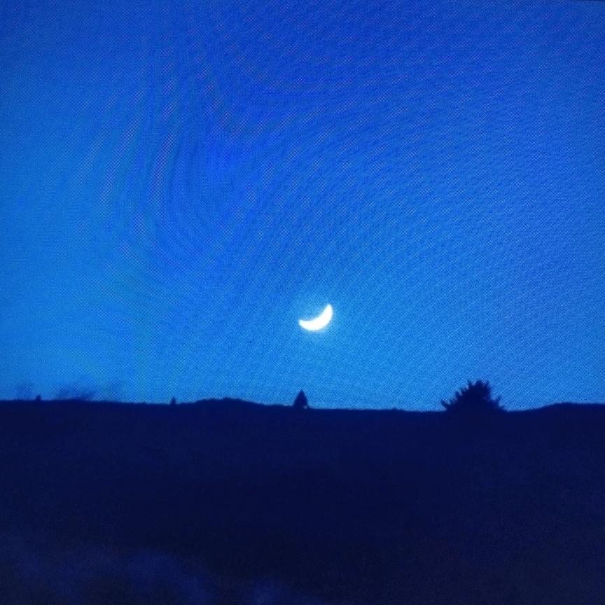 拿捏秋日的轻盈感🐉☘️🐲