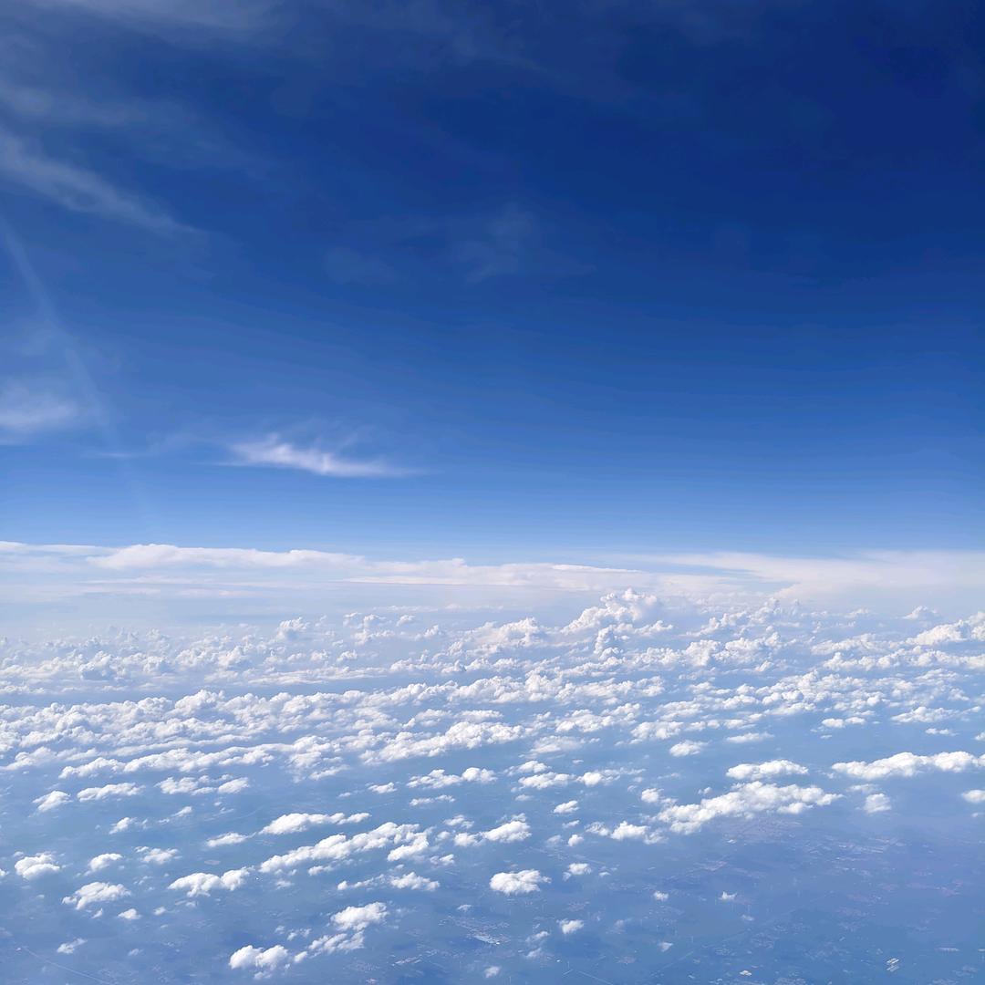 🐅咖啡不懂酒的醉🐅