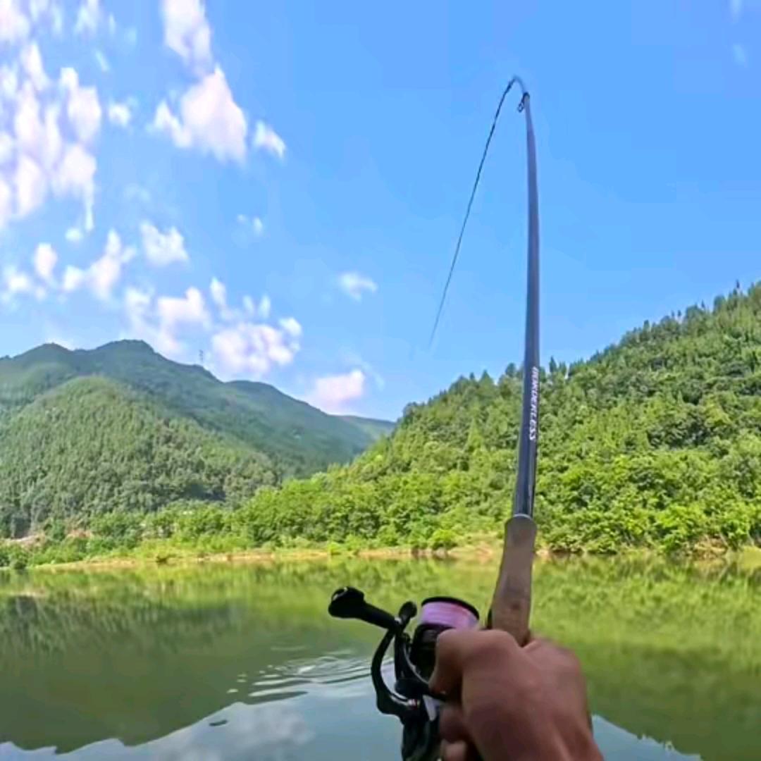 渔醉人生🐟🐟