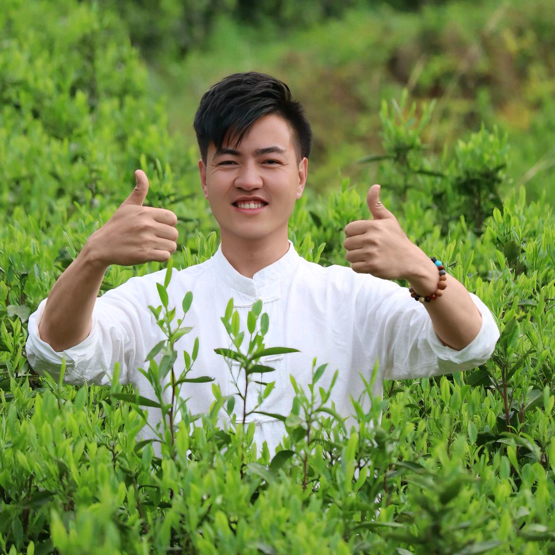 乡村小林