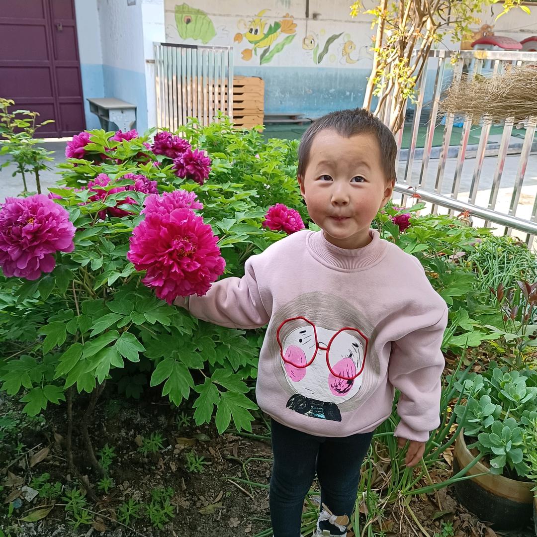 桐妈推荐