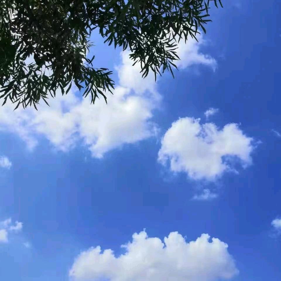 事事如意