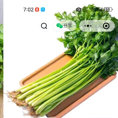 轻风恋