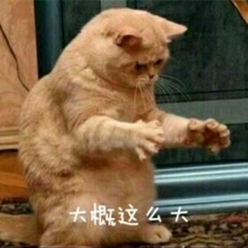 我网名有十二个字不信你数