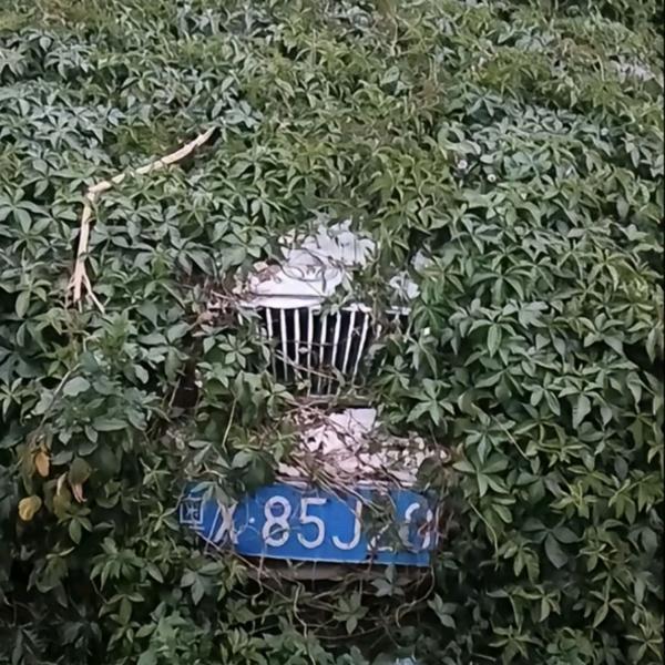 往后余生