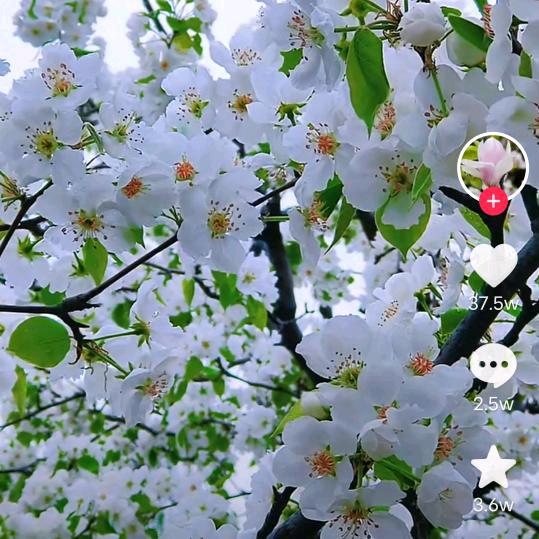 西贾卫民维修中心