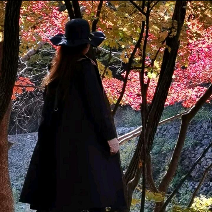 花好月圆71887