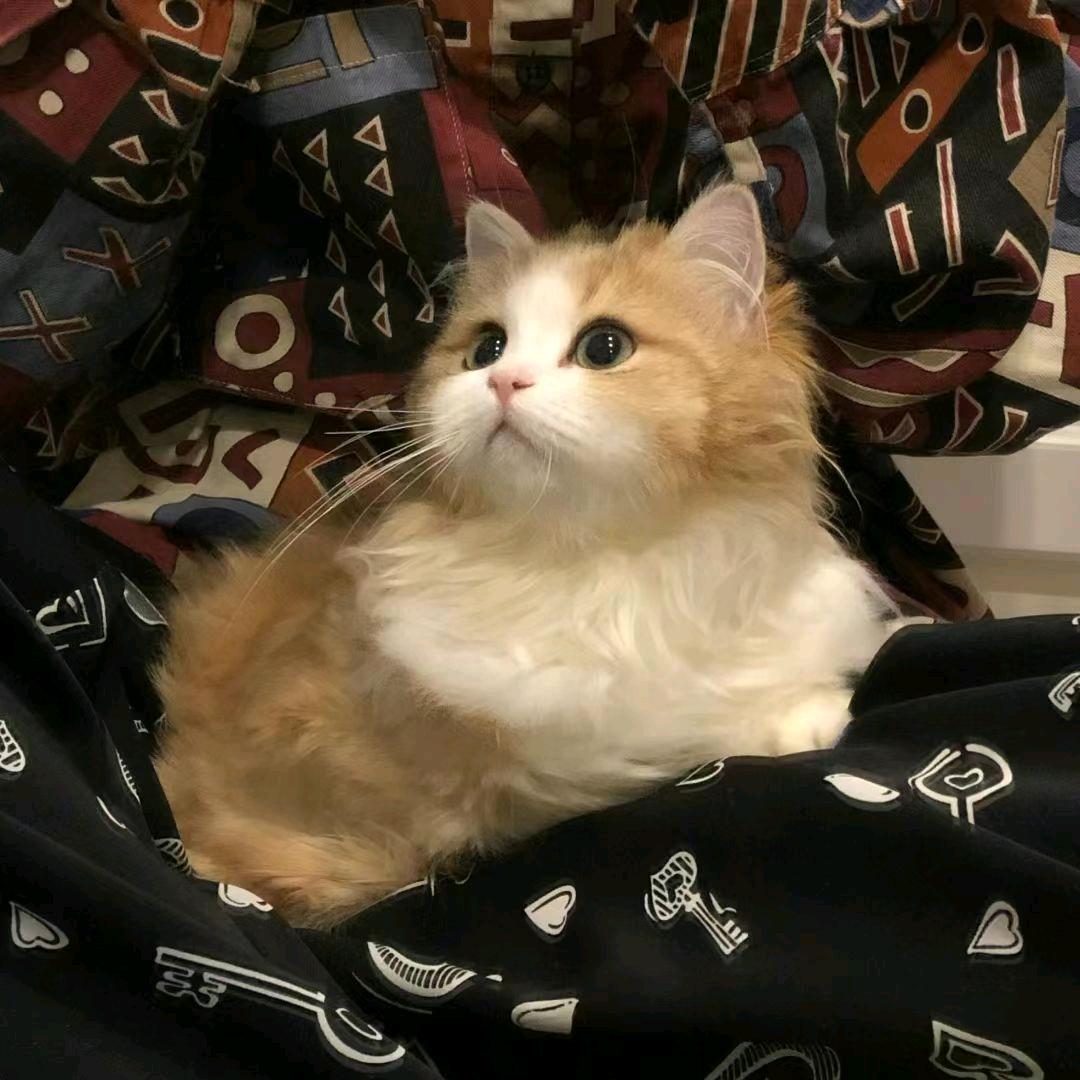 李不是人🧊
