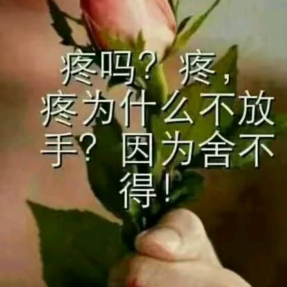 机会留给有准备的人