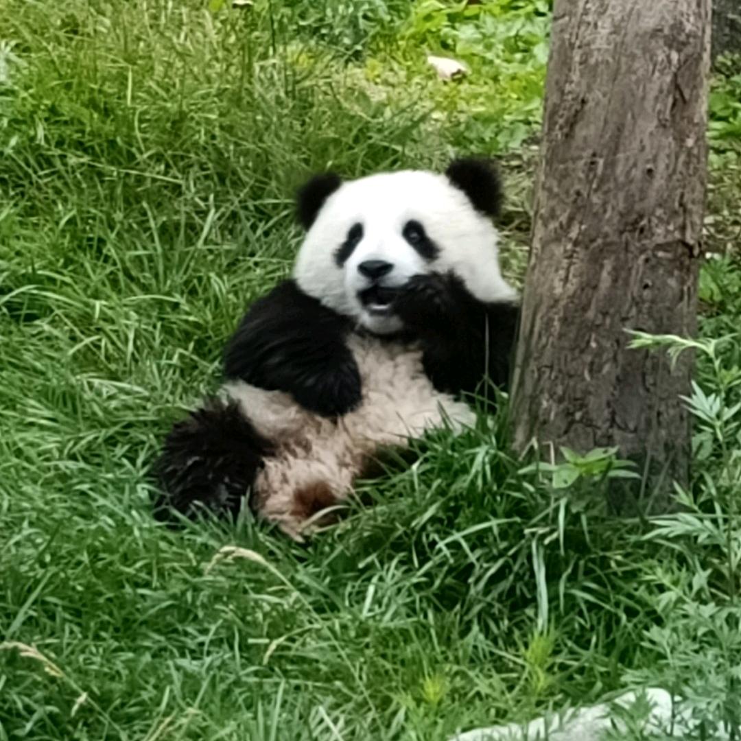 意外遇害