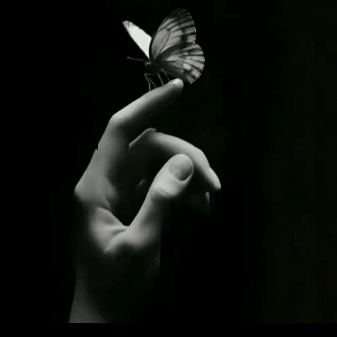 殇༆