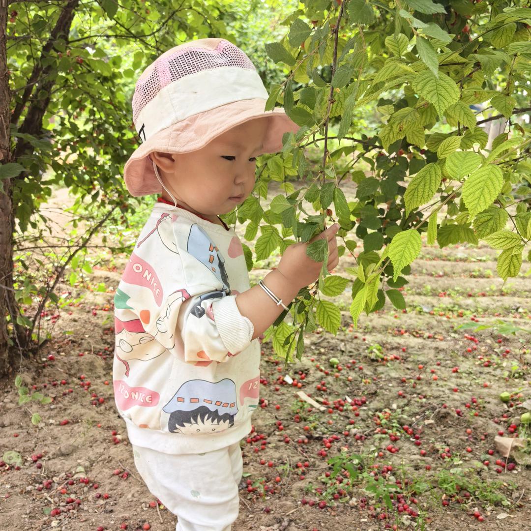 小橙子与小黄鸭的小时光