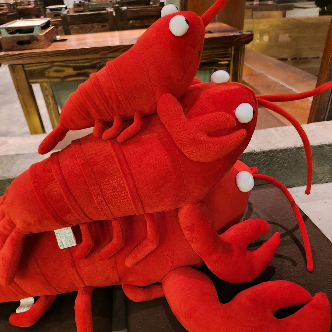 是大龙
