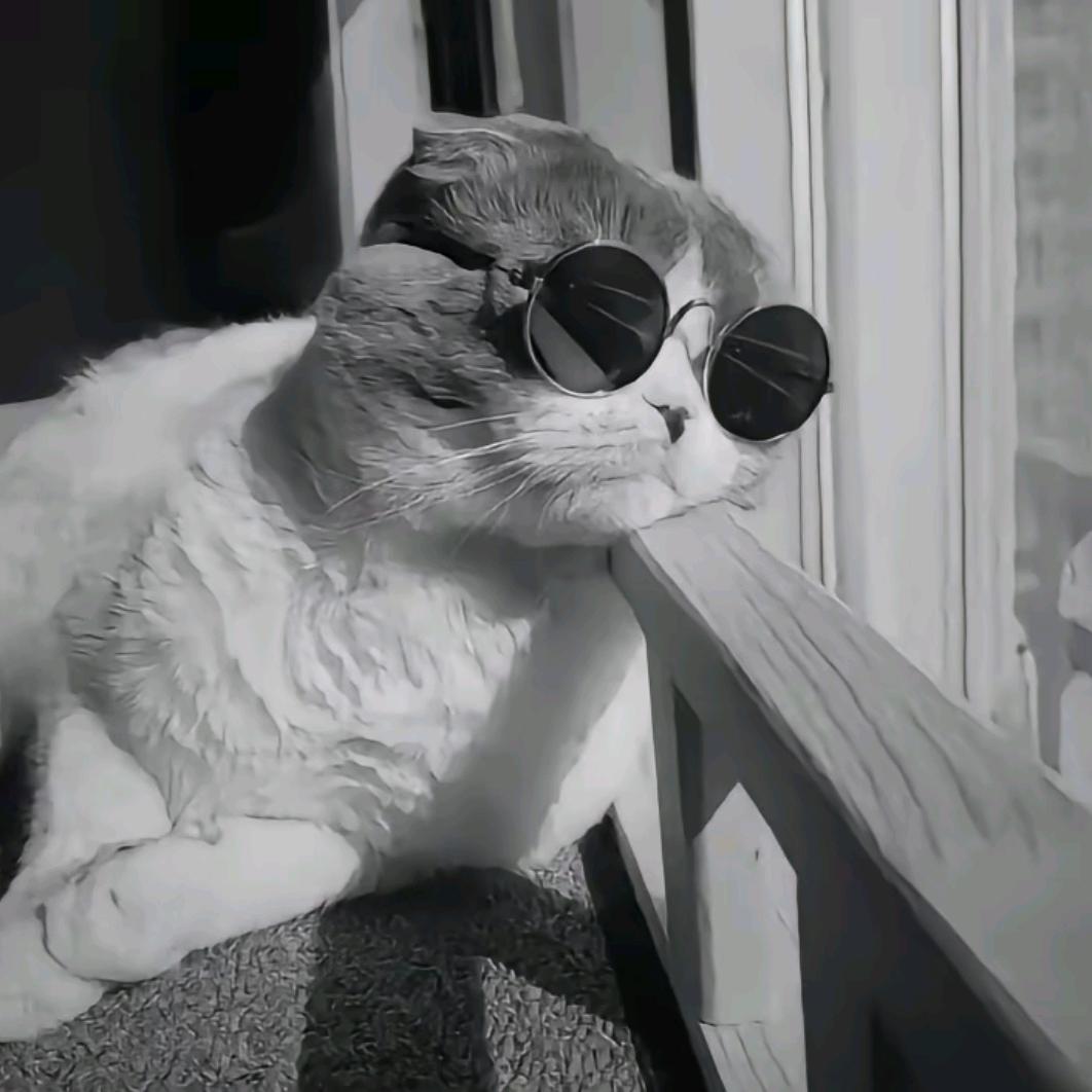 歪歪衣服