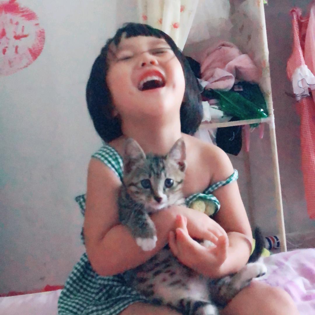 考拉🐨拉