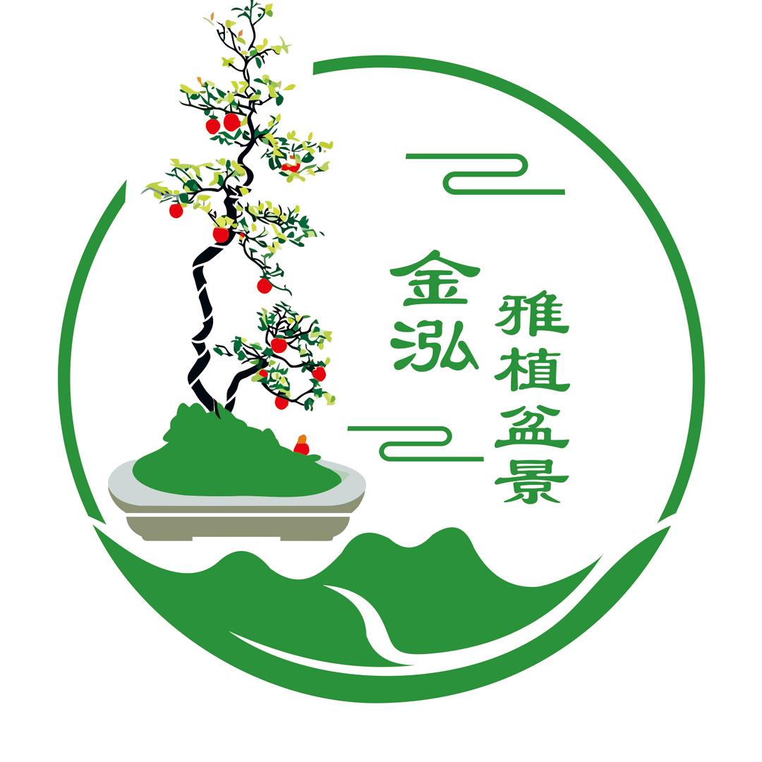 金泓雅植  盆景