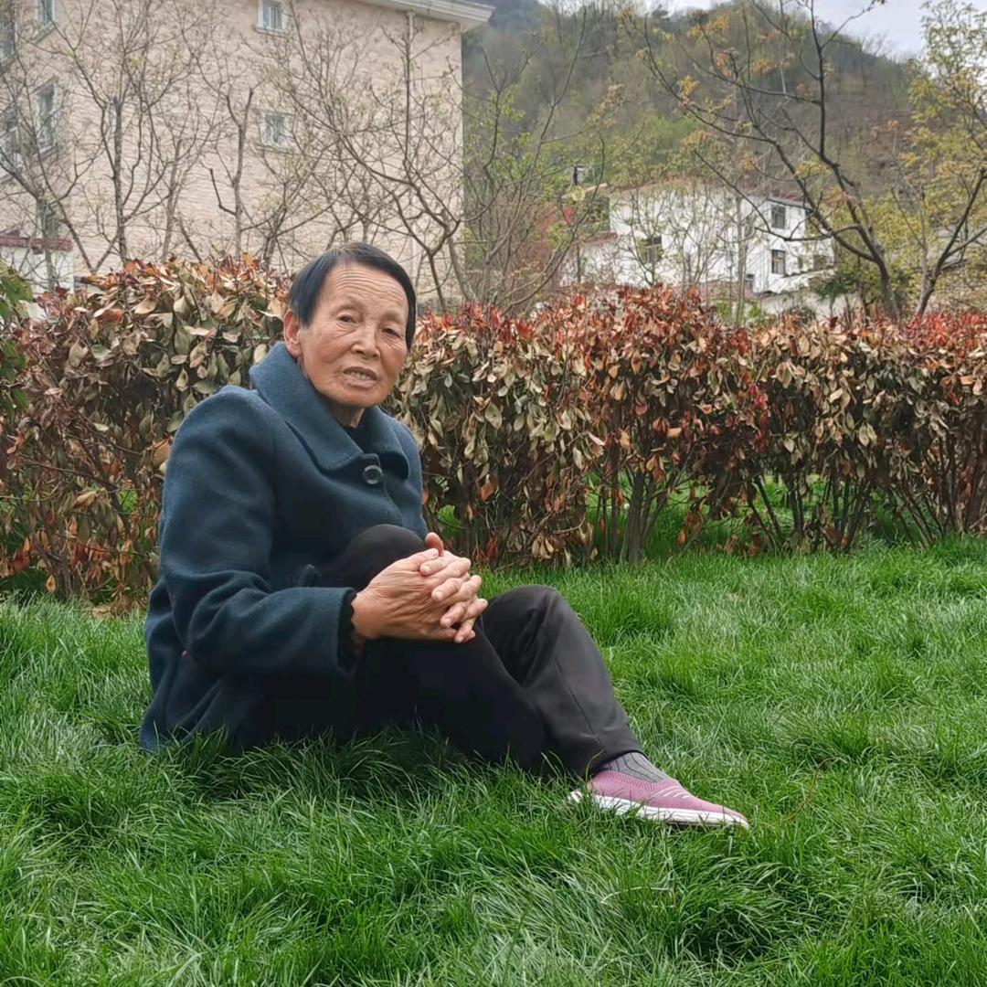 一树繁花儿