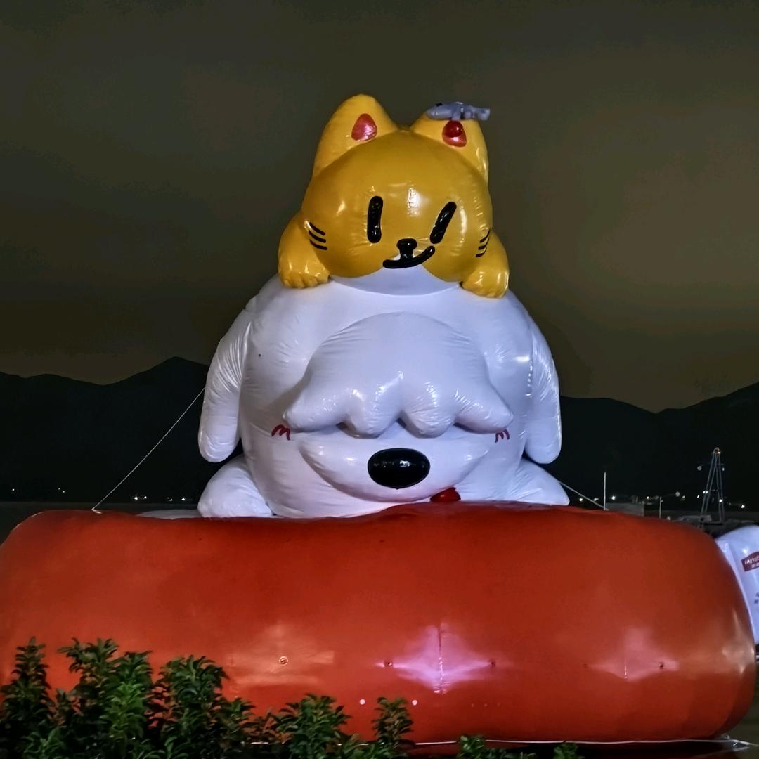 用户385236446
