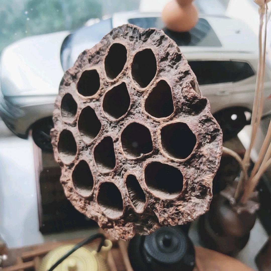 慌哥敦百货