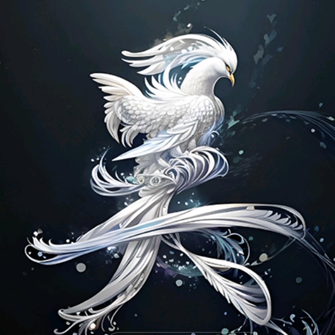 吴庆华_（橱窗有好物）