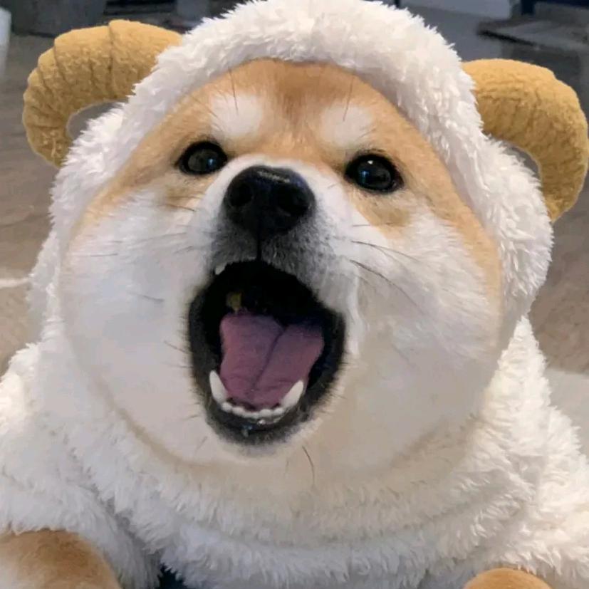 bt的吃货头像