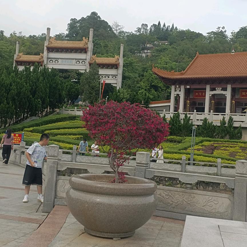 时光无声@