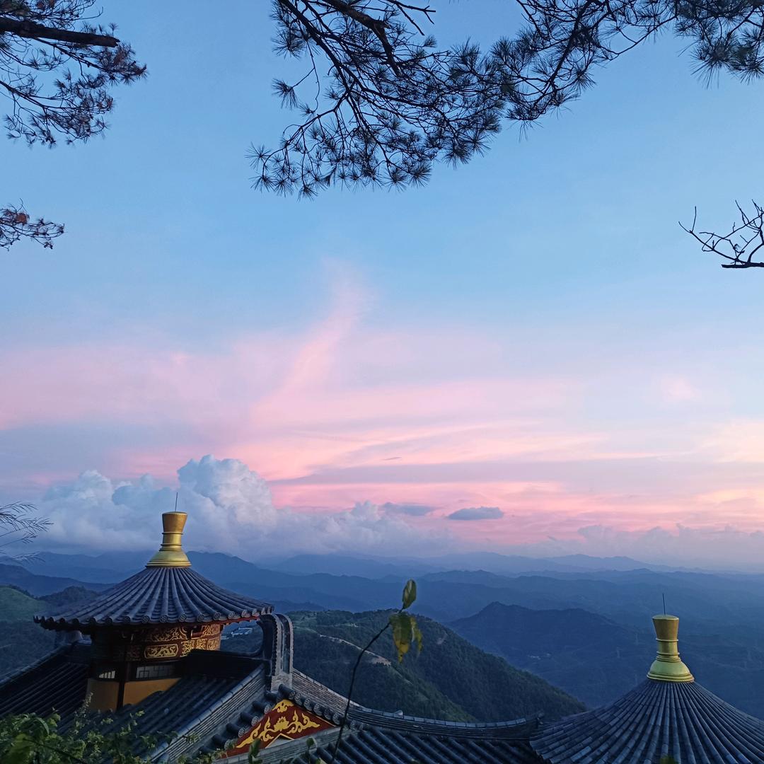 王文王多一点