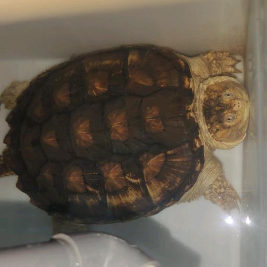 破而后立，富贵