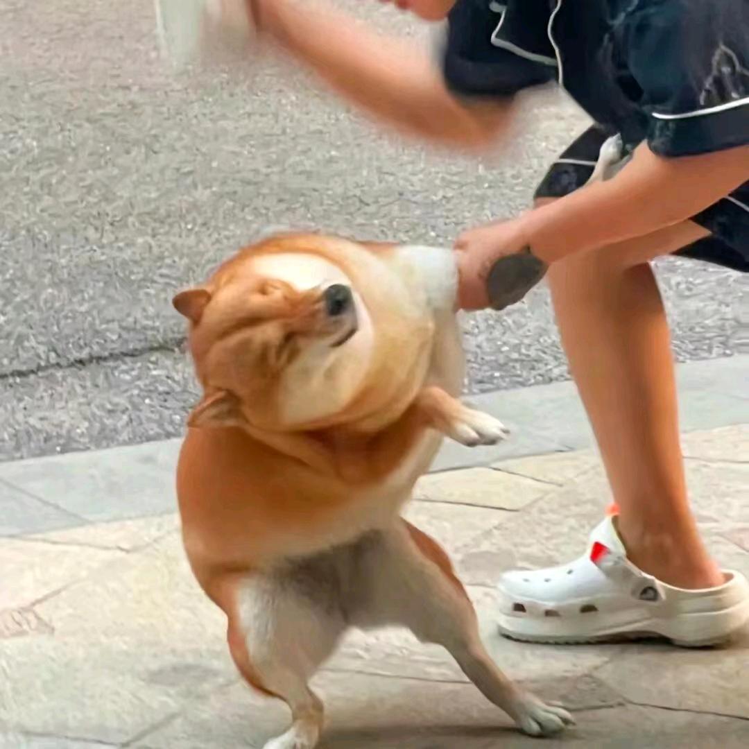 加油！加油！