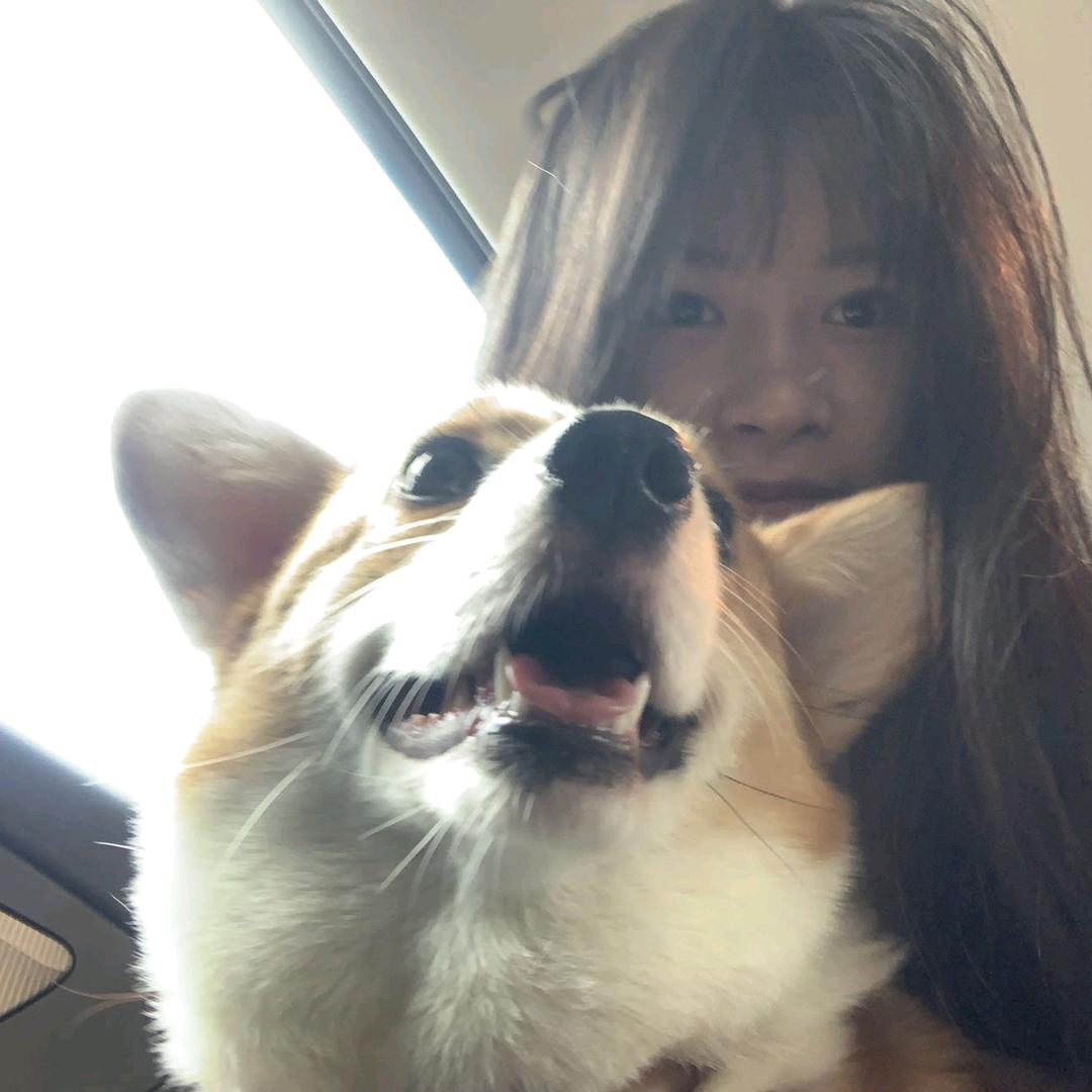壹零壹