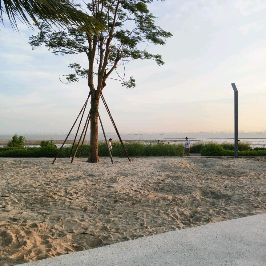 手机用户74708433246