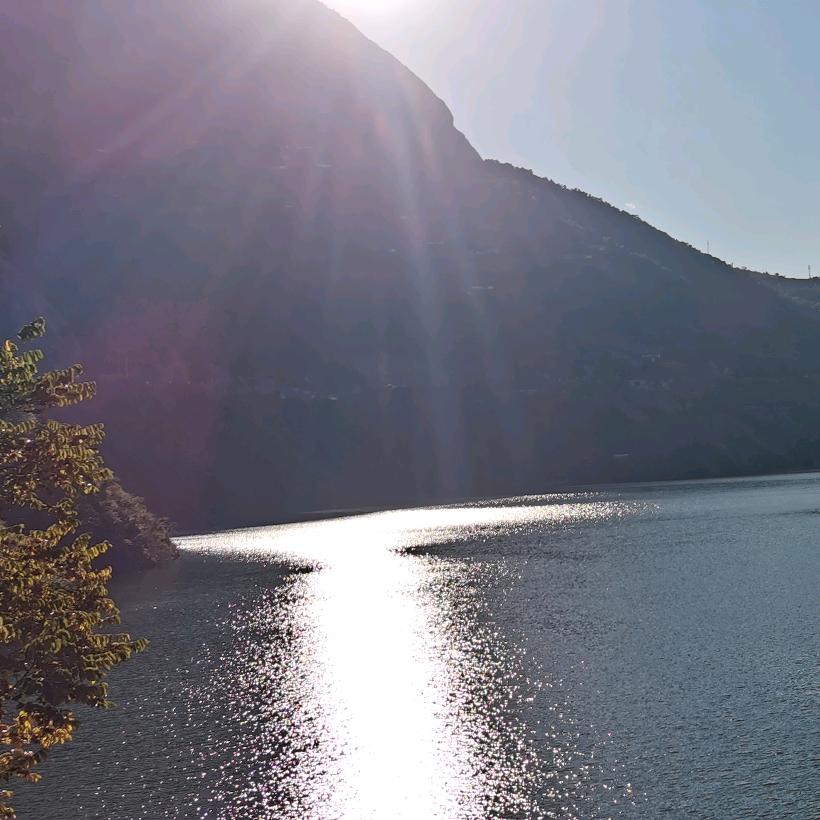 票票带你挖墙脚